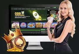 baggo login